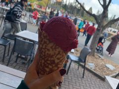 -Patagonia Chocolates(皇后镇店)