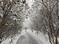 -海螺沟风景区