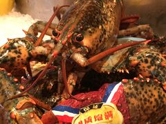 -Oyster Talks 四度蚝法餐厅