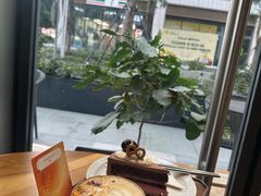 -DECAMERON十日谈(前海嘉里中心店)