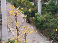 -狐尾山公园