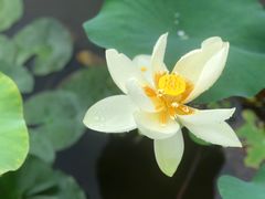 -木塔寺遗址生态公园