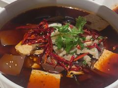 -洋洋中餐馆·SINCE 1997(龙湖星湖天街店)