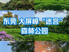 -大屏嶂森林公园