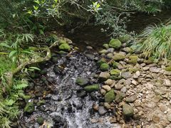 -海南热带雨林国家公园吊罗山景区