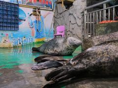 -嘉兴海底世界