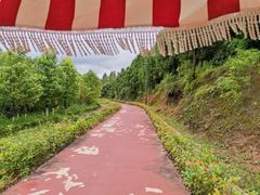 -仙海旅游度假区