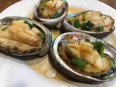 -沙田鸽王(解放路店)