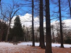-北海道神宫