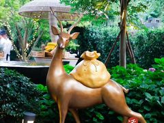 -杭州君悦酒店·青莳