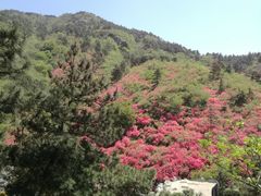 -木兰云雾山