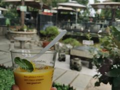 -蘇河湾·新鲁菜·泰山宴(泰山店)