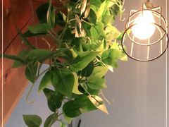 -花马天堂云南餐厅 Lost Heaven(外滩店)