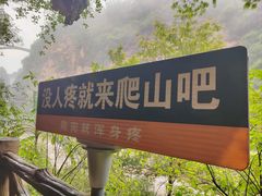-马岭河峡谷风景区
