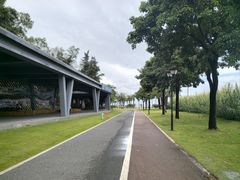 -野狸岛