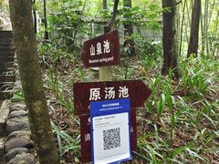 -花水湾第一村温泉大酒店