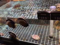 -璞御·海鲜·雪花牛肉局(宾水西道店)