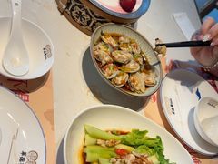 -点都德·毕德寮