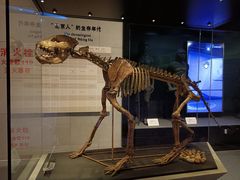 -北京周口店北京人遗址博物馆