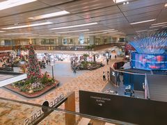 -樟宜机场免税店