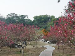-桃花涧