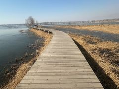 -野鸭湖国家湿地公园