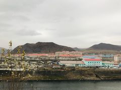 -望天鹅景区