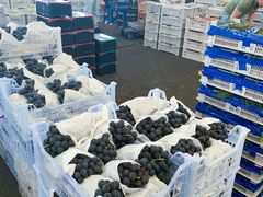 -西郊国际农产品交易中心