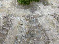 -官塘陈记鱼生·潮汕砂锅粥·牛肉火锅(潮枫路总店)