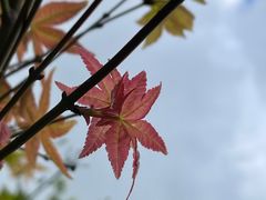 -南湖湿地公园