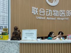 -联合动物医院(光谷诊疗中心)