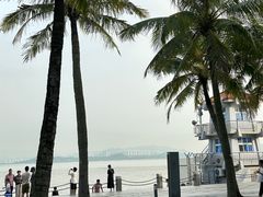 -深圳湾公园(南山区)