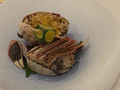 -粤珍轩(新城广场店)