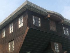 -金山农民画村-枫泾波兰倒置屋