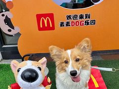 -麦当劳(北京路广百广场店)