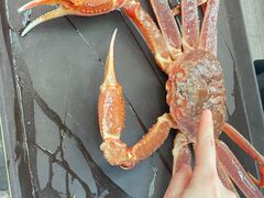 -熹炭精致日料(金融街购物中心店)
