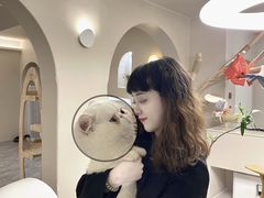 -More Fun猫咖 二十只万元加菲主题