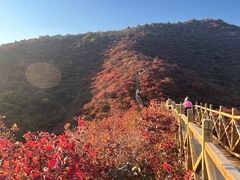 -水峪民俗村