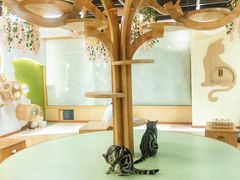 -猫和宫(六道口店)