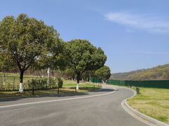 -羊山湖公园