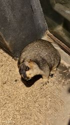 -酷嗒动物文化乐园(cutezoo西溪乐天城店)