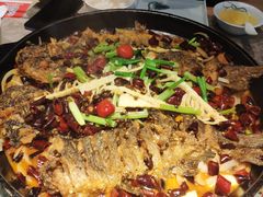 -老板恋上鱼(恒隆广场店)