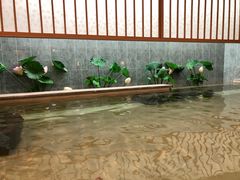 -汤泉良子.足疗按摩.SPA(中关村店)