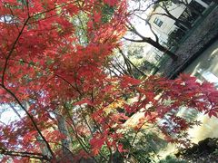 -汇龙潭