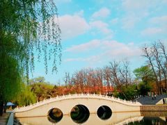 -二一九公园