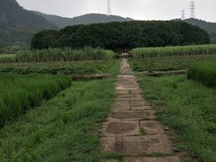 -八卦田遗址公园