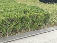 -西南政法大学(渝北校区)