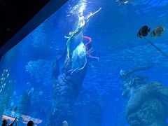 -哈尔滨波塞冬海底世界