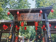 -合肥滨湖国家森林公园