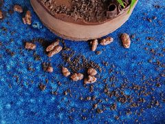 -Hi City·城市之巅